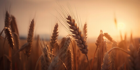 Wheat field with a picturesque and softly lit sunset backdrop. Generative AI