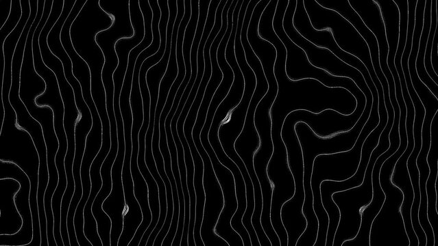 White contour topography shape animation background. 2D computer rendering pattern