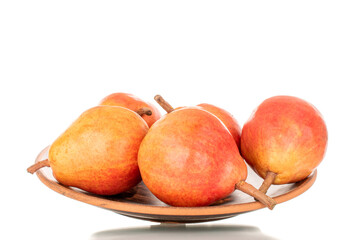 Several organic Bartlett pears on a clay dish, macro, isolated on white background.