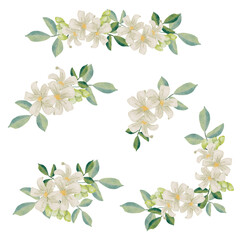 watercolor white murraya orange jasmine flower bouquet wreath frame