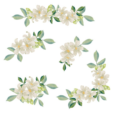 watercolor white murraya orange jasmine flower bouquet wreath frame