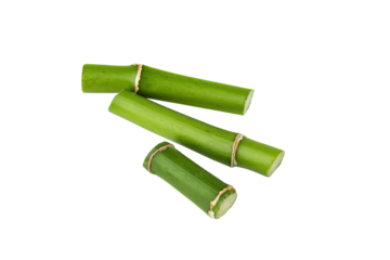 Bamboo shoot isolated on transparent background. Green bamboo stems for design.