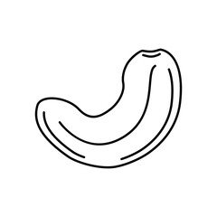 Badge  cashew. Vector image, eps