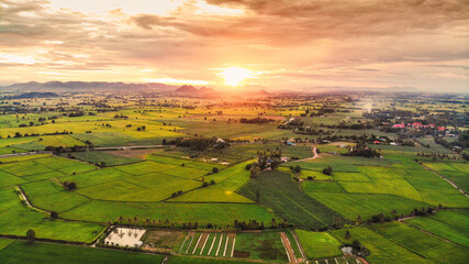 Fototapeta na wymiar Sunset over lush green paddy field, farming cultivation in agricultural land at countryside