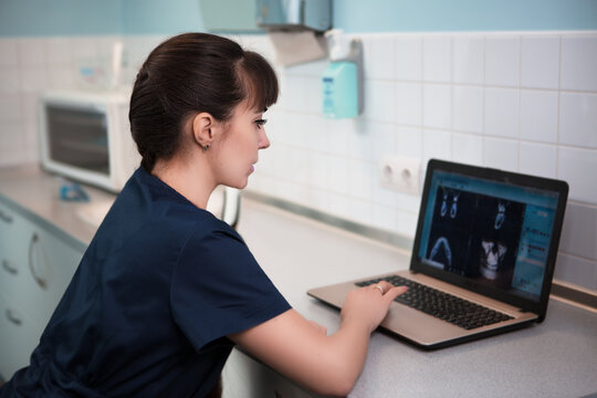 Doctor dentist analyzes X-ray picture of the patient's jaw on a laptop screen.