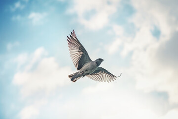 Obraz premium Bird flying in the blue sky with white clouds background. Toned. Generative AI