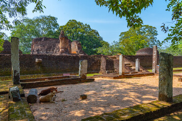 pothgul viharaya at polonnaruwa, Sri Lanka