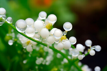 generative ai illustration of of homeopathy globules