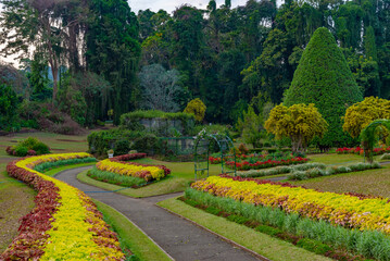 Royal botanical gardwen in Kandy, Sri Lanka