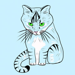 Blue cat sits in minimalist style. Doodle cartoon illustration.