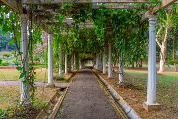 Royal botanical gardwen in Kandy, Sri Lanka