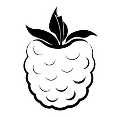 Raspberries on a white background. Sketch. Black and white drawing.