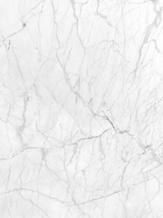 White marble grunge texture with shiny gray cracks veins pattern abstract background design for your creative design.