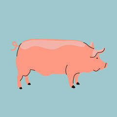 Pink pig vector illustration, cute big domestic animal. Hand drawn vector illustration