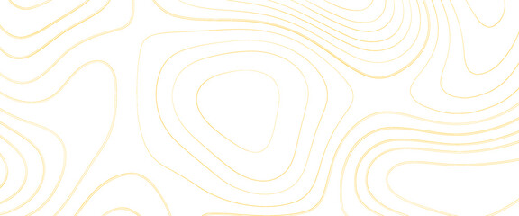 Topographic line contour map background, Topographic map and landscape terrain texture grid, Abstract lines background, fish fillet texture, salmon fillet texture, fish pattern. paper texture . 
