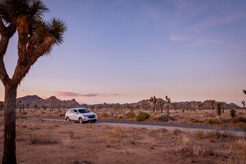 A Scenic Drive. A Mesmerizing Sunset Drive on a Road in Joshua Tree National Park