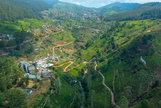 Panorama view od Mackwoods tea estate at Sri Lanka