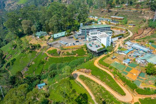 Panorama view od Mackwoods tea estate at Sri Lanka