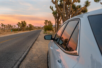 A Desert Drive. A Tranquil Road Trip through Joshua Tree National Park at Sunset.