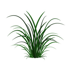 Icon with grass on a white background
