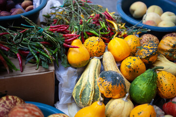 Pumpkins, peppers and peaches on a farmers market, colorful still life