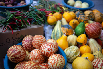 Melons, pumpkins, hot pepper and peaches on a farmers market. Queen Anne's Pocket Melon. Still life