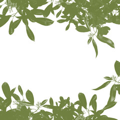 Green leaves background with white copy space, square layout for social media or overlay design element