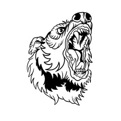Hand drawn illustration of bear head outline design