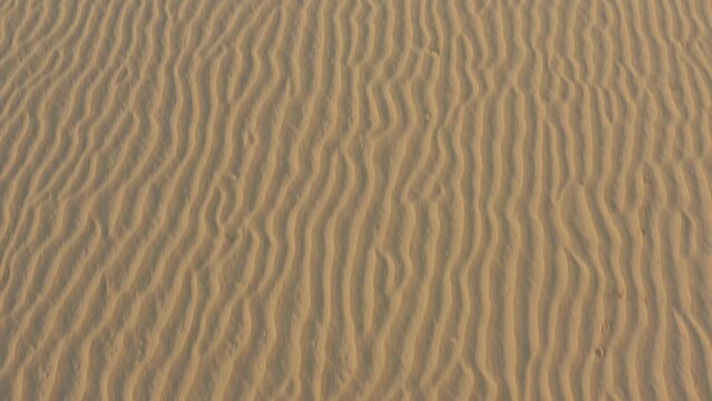 Corraleyo dunes aerial view in Fuerteventura island