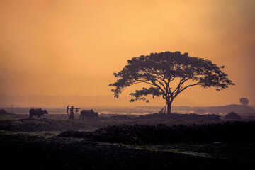 sunset in the countryside