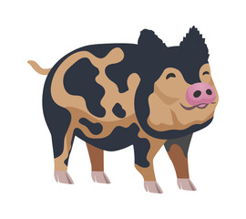 Flat Pig Illustration
