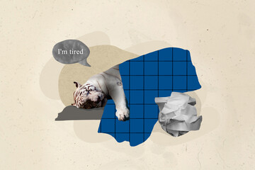 Artwork magazine collage picture of tired sleepy tiger lying under blanket feeling tired isolated drawing background - Powered by Adobe