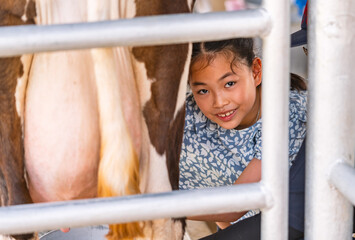 Asian little girl milking a cow by hand, cow standing in the corral of farm, eyes looking at...