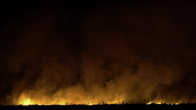 Fire in a field at night, burning of dry grass with fire smoke rising into dark smoke clouds, air pollution