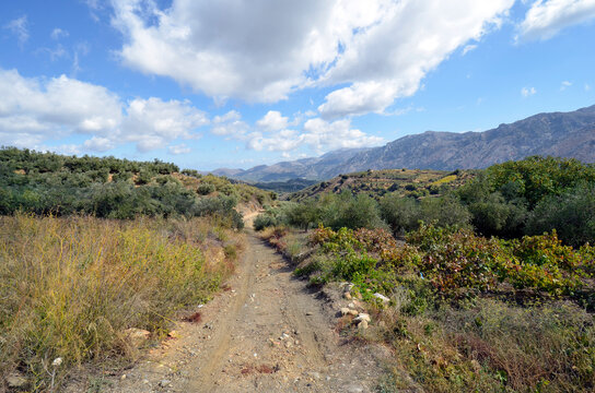 Unseal Bilder Durchsuchen 2,292 Archivfotos, und