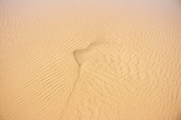 sand dune texture