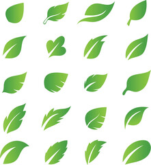 Set of green leaf icons. Leaves icon. Leaves of trees and plants. Collection green leaf. Elements design for natural, eco, bio, vegan labels. Vector illustration. stock illustration
001