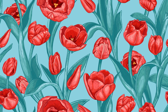 Beautiful seamless pattern with hand drawn red Tulip flowers on a blue background. Vector illustration of spring Tulips. Blooming flowers and leaves. Floral elements for textile design
