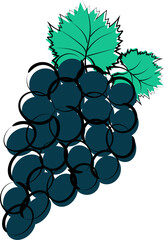 Bunch of grapes on isolated on white background.