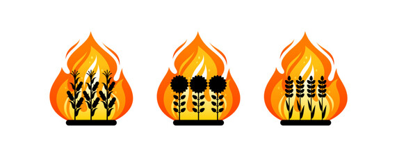 Agriculture fields, farm lands in fire. Concept of wildfire in countryside, burning plants on plantation or garden. Vector cartoon icons of flame with black silhouettes of wheat, sunflowers and corn