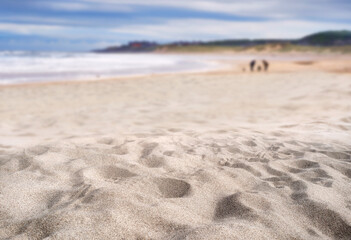 A coastal foreground texture scene to place products on the sand with a blurred sea background on a sunny summer day.