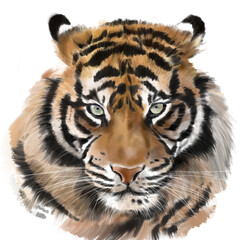 Fototapeta premium Digital illustration of a striped tiger with the pale green eyes on the transparent background