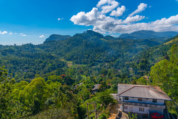 Panorama view of Uva Halpewatte tea estate at Sri Lanka © dudlajzov