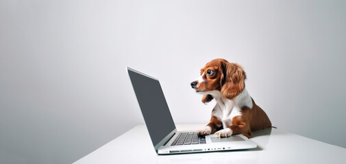 Dog using laptop. Isolated on white. Generative AI