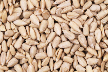 healthy sunflower seeds as nice background