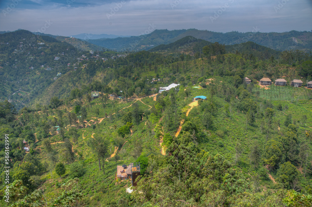 Wall mural Tea plantation surrounding Little Adam's peak at Ella, Sri Lanka