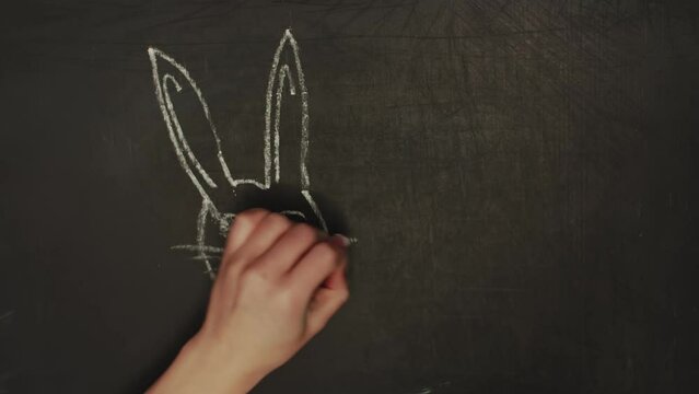 Time lapse drawing with crayons of a white rabbit with ears and Easter eggs. The concept of the spring traditional and cultural holiday of Easter.