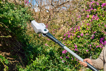 Mature man cutting shrub with hedge trimmer. Male gardener working with professional garden...