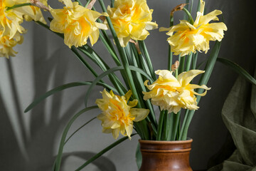 Blooming daffodils in the iron bucket, vintage still life
