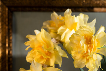 Close up view of bloomed daffodils, vintage still life, art interior design